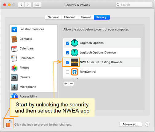 Security settings with lock icon, Accessibility section, and apps you grant permission, including the NWEA app